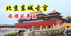 免费操逼打炮群中国北京-东城古宫旅游风景区